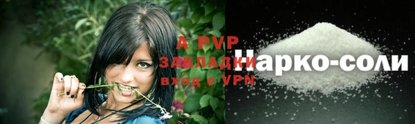 ПСИЛОЦИБИНОВЫЕ ГРИБЫ Ветлуга
